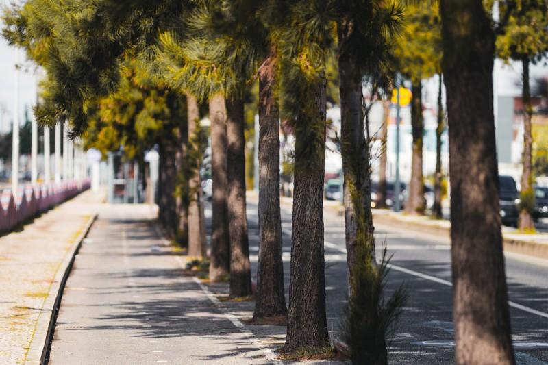 Επταπύργιο Θεσσαλονίκη