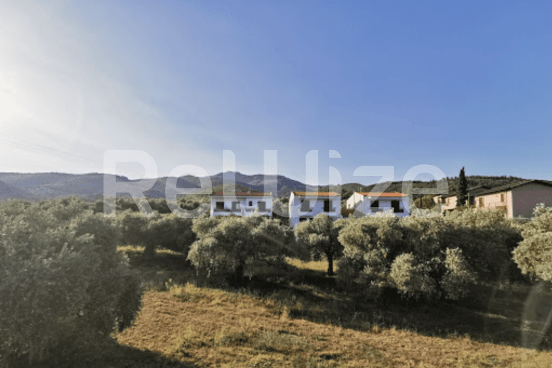 Photo 3,Τοπίο,ΠΏΛΗΣΗ,Γη,Οικόπεδο,2500τ.μ,€800,000,Θάσος