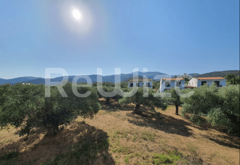 Photo 4,Τοπίο,ΠΏΛΗΣΗ,Γη,Οικόπεδο,2500τ.μ,€800,000,Θάσος