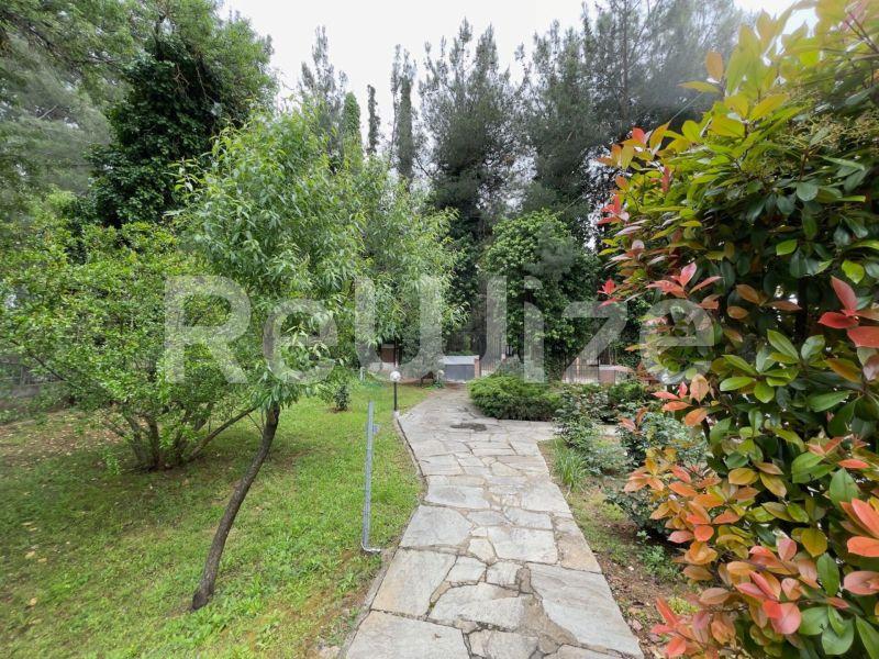 Photo 7,Κήπος,ΕΝΟΙΚΊΑΣΗ,Κατοικία,Μεζονέτα,160τ.μ,€1,500,Ελαιώνες