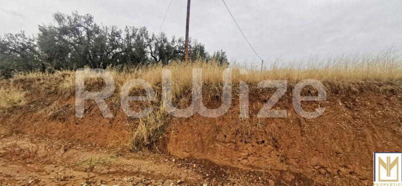 Photo 5,Outside,SALE,Land,Field,2750sqm,€30,000,Agios Mamas