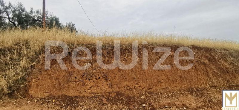 Photo 6,Outside,SALE,Land,Field,2750sqm,€30,000,Agios Mamas