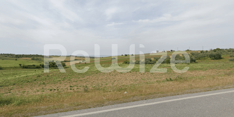 Photo 2,Landscape,SALE,Land,Field,9462sqm,€140,000,Epanomi