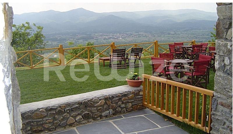 Photo 3,Κήπος,ΠΏΛΗΣΗ,Επαγγελματικό,Ξενοδοχείο,320τ.μ,€800,000,Πετρίτσι