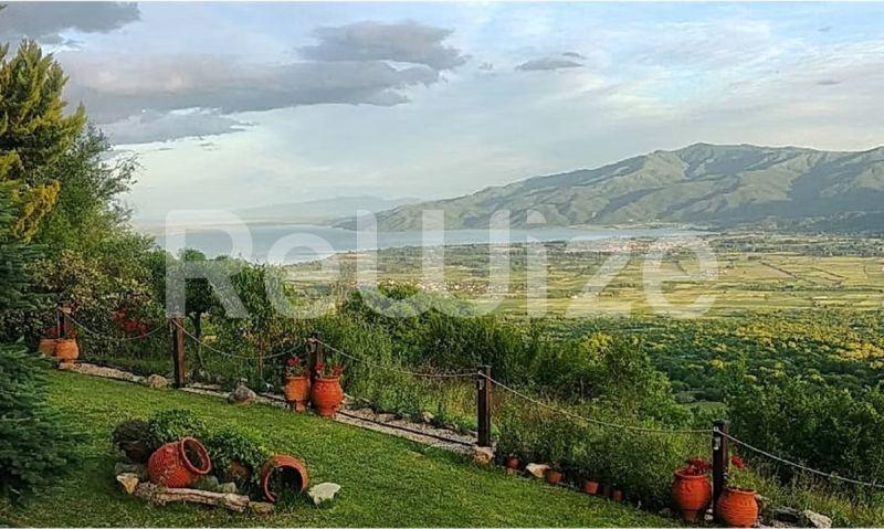 Photo 2,Πανοραμική Θέα,ΠΏΛΗΣΗ,Επαγγελματικό,Ξενοδοχείο,320τ.μ,€800,000,Πετρίτσι