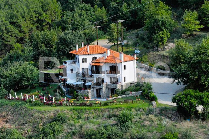 Photo 24,Εξωτερική,ΠΏΛΗΣΗ,Επαγγελματικό,Ξενοδοχείο,320τ.μ,€800,000,Πετρίτσι