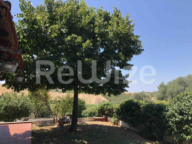 Photo 9,Κήπος,ΠΏΛΗΣΗ,Κατοικία,Μονοκατοικία σε συγκρότημα,240τ.μ,€400,000,Πλαγιάρι