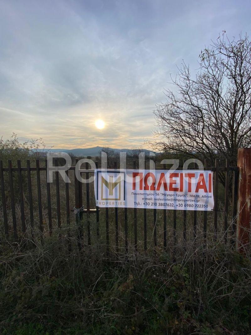 Photo 10,Εξωτερική,ΠΏΛΗΣΗ,Γη,Αγροτεμάχιο,12681τ.μ,€20,000,Κέντρο Κιλκίς