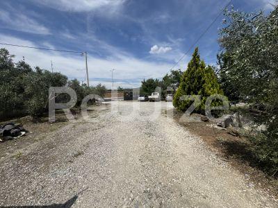Photo 7,Εξωτερική,ΠΏΛΗΣΗ,Επαγγελματικό,Βιομηχανικό Κτίριο,930τ.μ,€2,000,000,Πυλαία