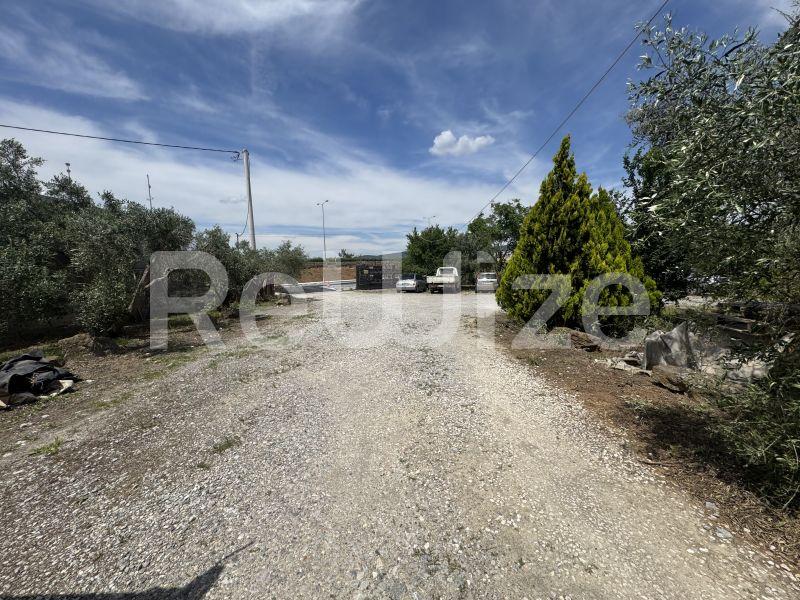 Photo 7,Εξωτερική,ΠΏΛΗΣΗ,Επαγγελματικό,Βιομηχανικό Κτίριο,930τ.μ,€2,000,000,Πυλαία