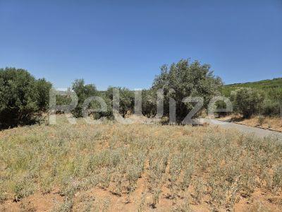 Photo 4,Outside,SALE,Land,Plot,3000sqm,€850,000,Triadi