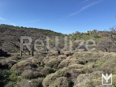 Photo 3,Outside,SALE,Land,Plot,4000sqm,€215,000,Orkos