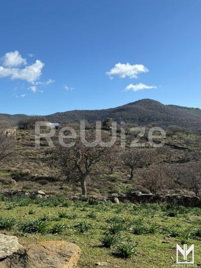Photo 2,Outside,SALE,Land,Plot,4000sqm,€215,000,Orkos