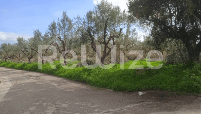 Photo 1,Εξωτερική,ΕΝΟΙΚΊΑΣΗ,Γη,Αγροτεμάχιο,4460τ.μ,€101,000,Ζάκυνθος