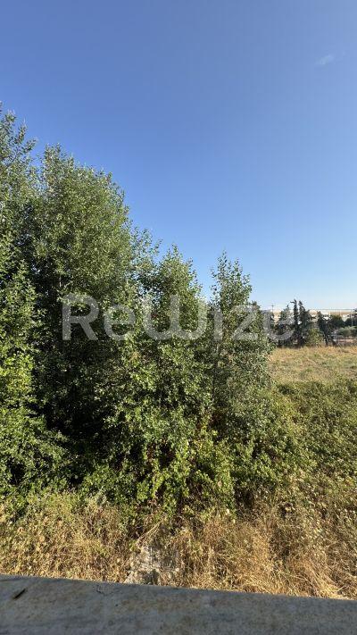 Photo 18,Εξωτερική,ΠΏΛΗΣΗ,Επαγγελματικό,Βιομηχανικό Κτίριο,1425τ.μ,€500,000,Λάκκωμα