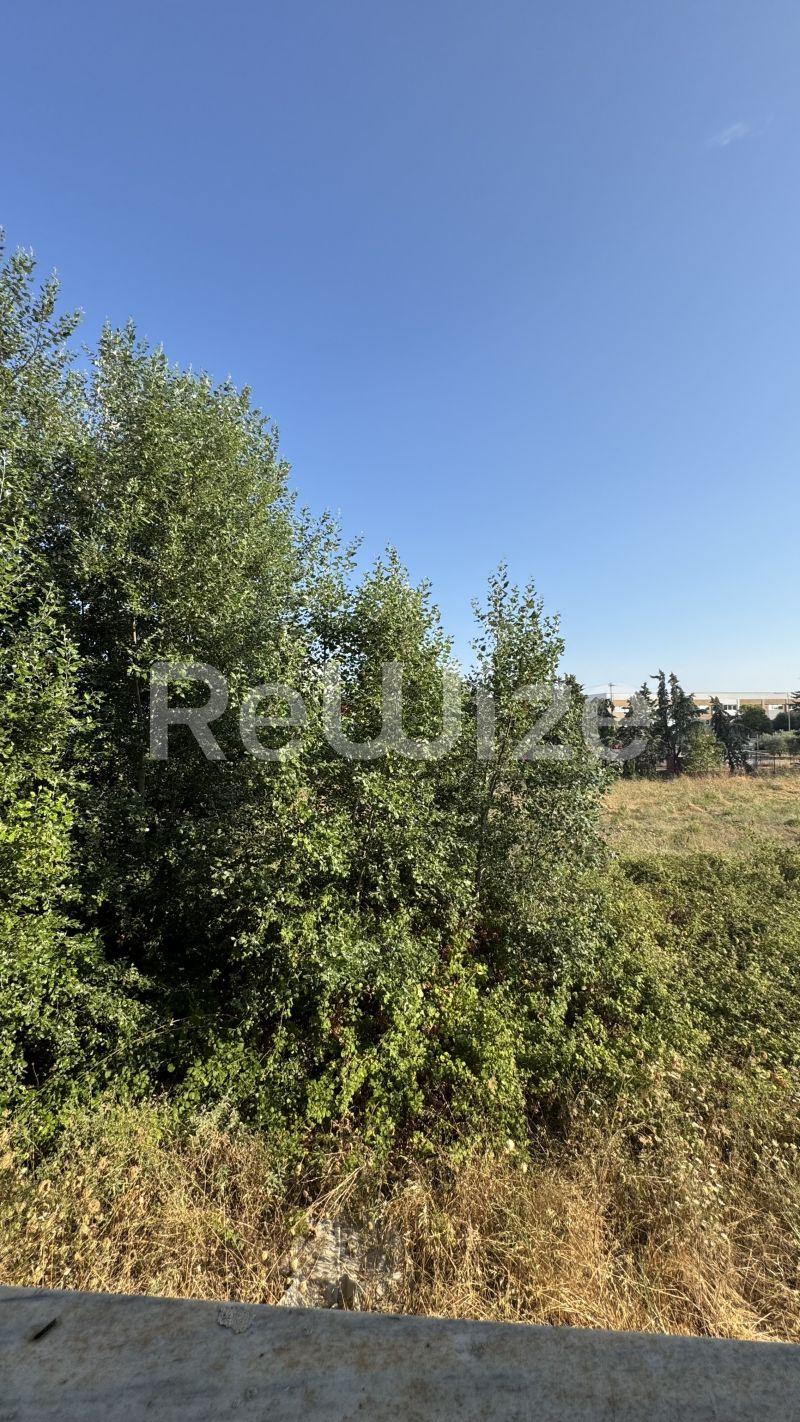 Photo 18,Εξωτερική,ΠΏΛΗΣΗ,Επαγγελματικό,Βιομηχανικό Κτίριο,1425τ.μ,€500,000,Λάκκωμα