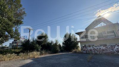 Photo 24,Εξωτερική,ΠΏΛΗΣΗ,Επαγγελματικό,Βιομηχανικό Κτίριο,1425τ.μ,€500,000,Λάκκωμα
