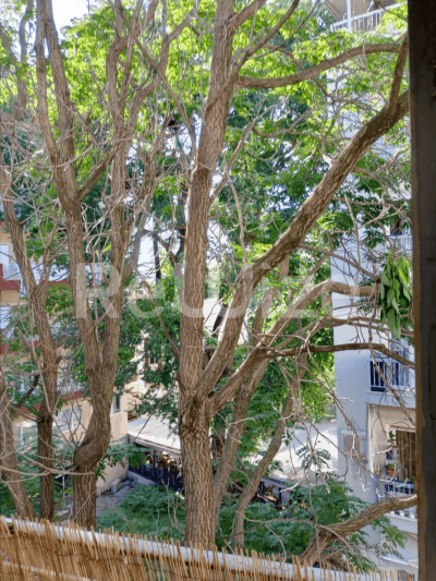 Photo 16,Εξωτερική,ΠΏΛΗΣΗ,Κατοικία,Διαμέρισμα,40τ.μ,€133,000,Νέα Παραλία