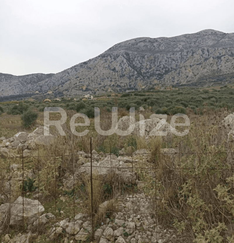 Photo 3,Εξωτερική,ΕΝΟΙΚΊΑΣΗ,Γη,Αγροτεμάχιο,4008τ.μ,€26,000,Αστακός