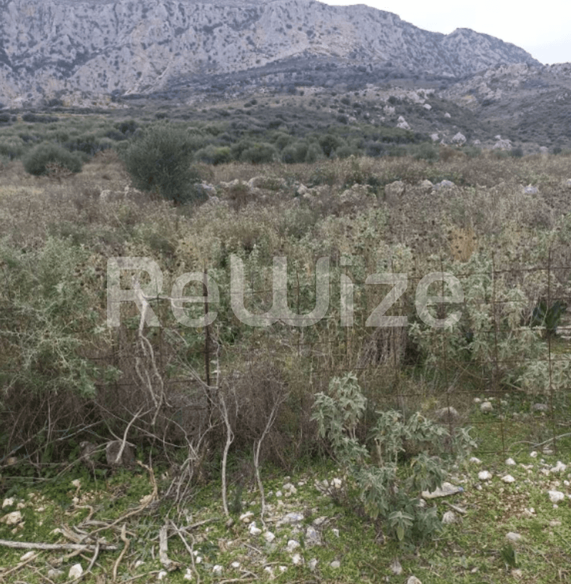 Photo 2,Εξωτερική,ΕΝΟΙΚΊΑΣΗ,Γη,Αγροτεμάχιο,4008τ.μ,€26,000,Αστακός