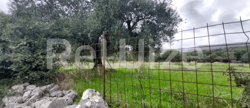 Photo 2,Εξωτερική,ΕΝΟΙΚΊΑΣΗ,Γη,Αγροτεμάχιο,5000τ.μ,€22,750,Αργοστόλι