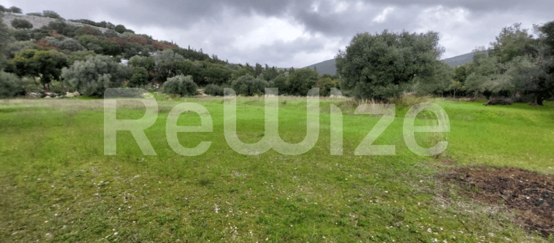 Photo 1,Εξωτερική,ΕΝΟΙΚΊΑΣΗ,Γη,Αγροτεμάχιο,5000τ.μ,€22,750,Αργοστόλι