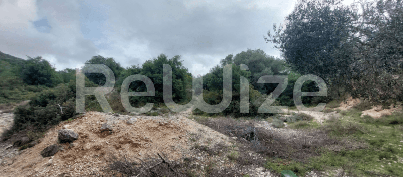 Photo 1,Εξωτερική,ΕΝΟΙΚΊΑΣΗ,Γη,Αγροτεμάχιο,4000τ.μ,€13,000,Αργοστόλι