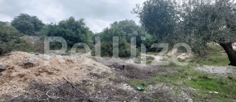 Photo 2,Εξωτερική,ΕΝΟΙΚΊΑΣΗ,Γη,Αγροτεμάχιο,4000τ.μ,€13,000,Αργοστόλι