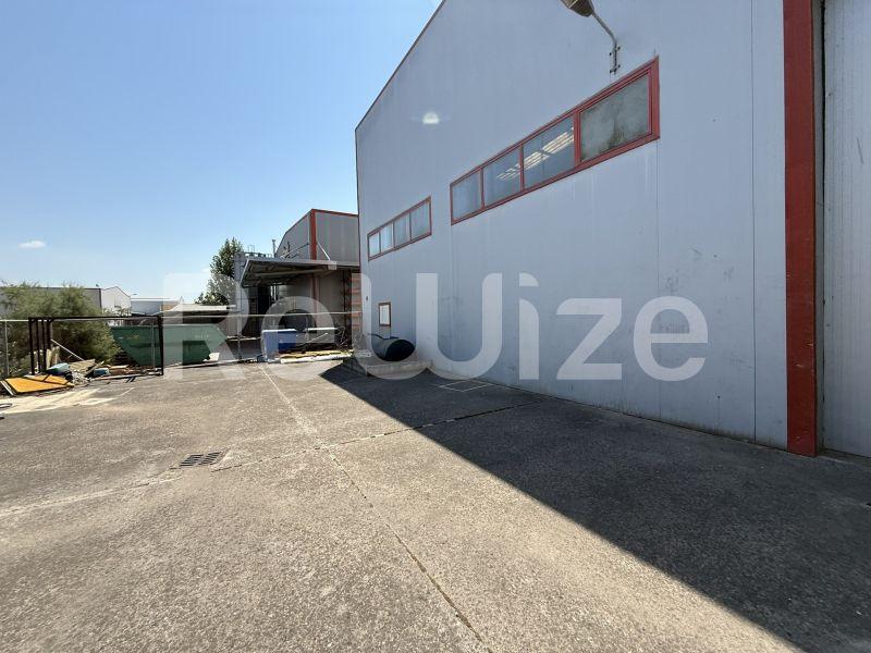 Industrial Building 1900 m² in Delta, photo 4
