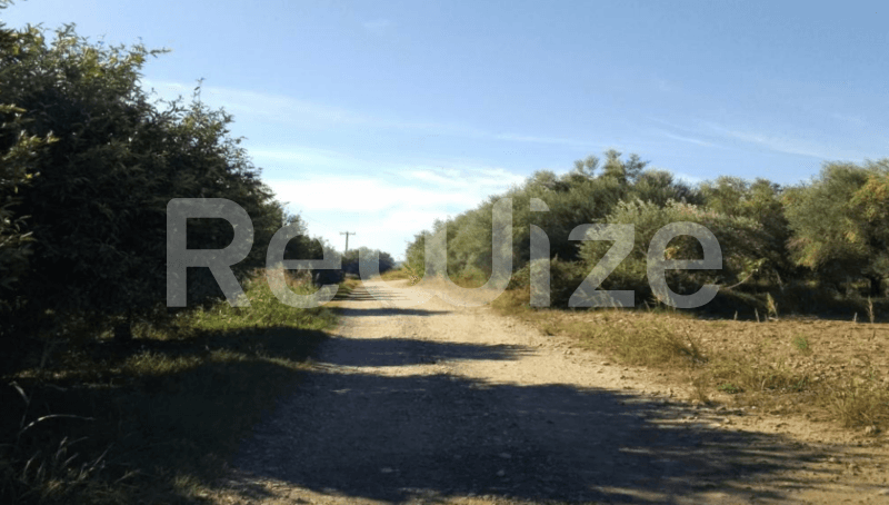 Photo 1,Εξωτερική,ΕΝΟΙΚΊΑΣΗ,Γη,Αγροτεμάχιο,4000τ.μ,€9,792,Μεσολόγγι