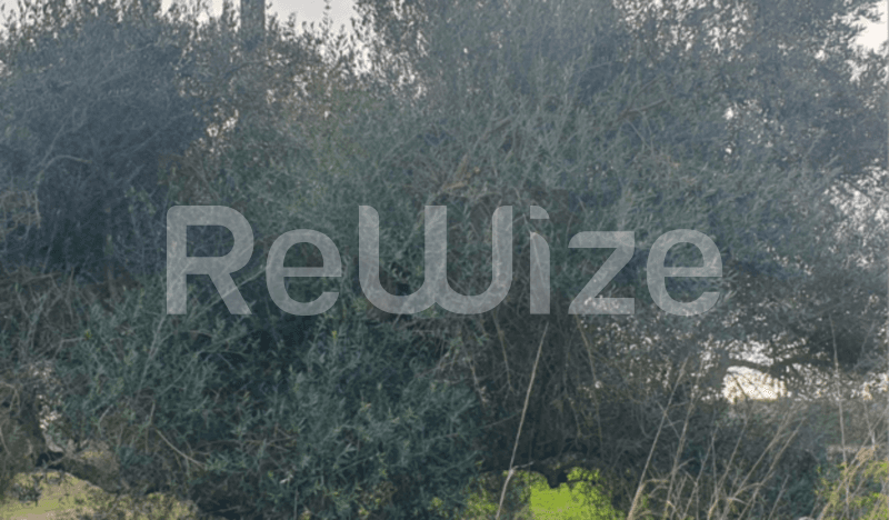 Photo 3,Εξωτερική,ΕΝΟΙΚΊΑΣΗ,Γη,Αγροτεμάχιο,4000τ.μ,€9,792,Μεσολόγγι