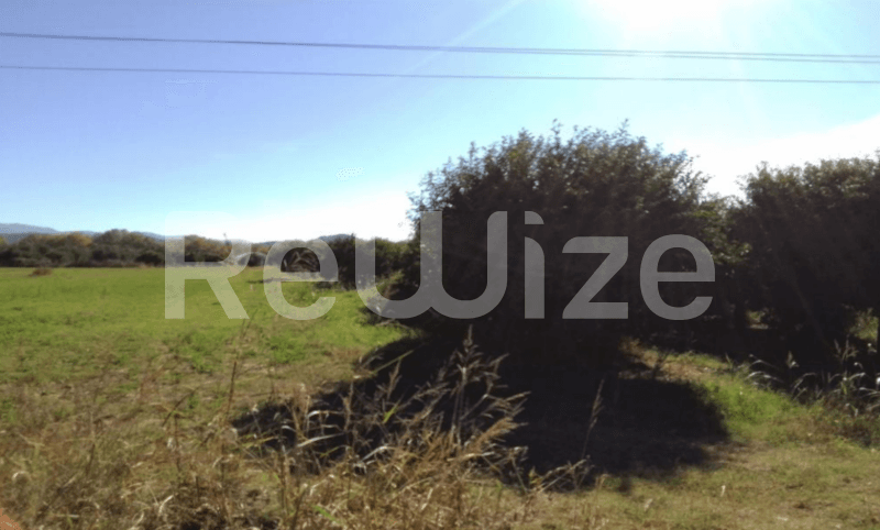 Photo 2,Εξωτερική,ΕΝΟΙΚΊΑΣΗ,Γη,Αγροτεμάχιο,4000τ.μ,€9,792,Μεσολόγγι