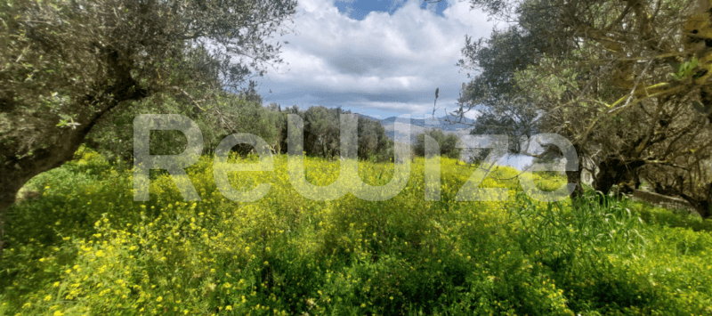 Photo 1,Εξωτερική,ΕΝΟΙΚΊΑΣΗ,Γη,Αγροτεμάχιο,3632τ.μ,€84,000,Ληξούρι