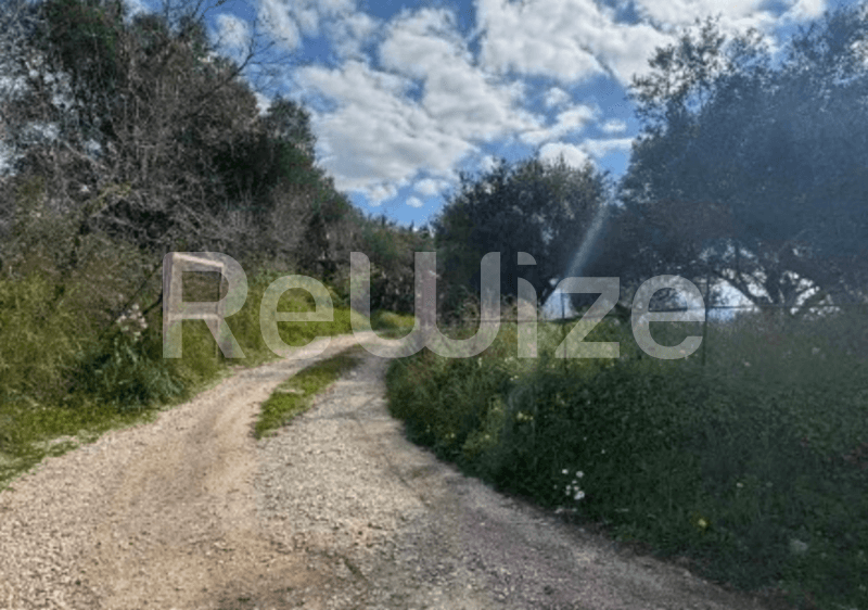 Photo 2,Εξωτερική,ΕΝΟΙΚΊΑΣΗ,Γη,Αγροτεμάχιο,3632τ.μ,€84,000,Ληξούρι