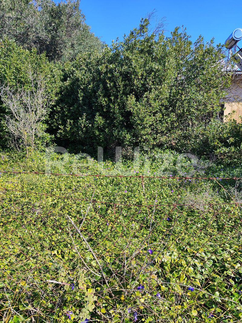 Photo 2,Outside,SALE,Land,Field,240sqm,€13,000,Nea Michaniona