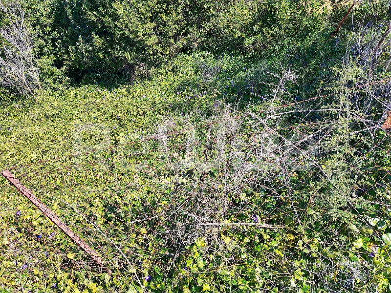 Photo 16,Outside,SALE,Land,Field,240sqm,€13,000,Nea Michaniona