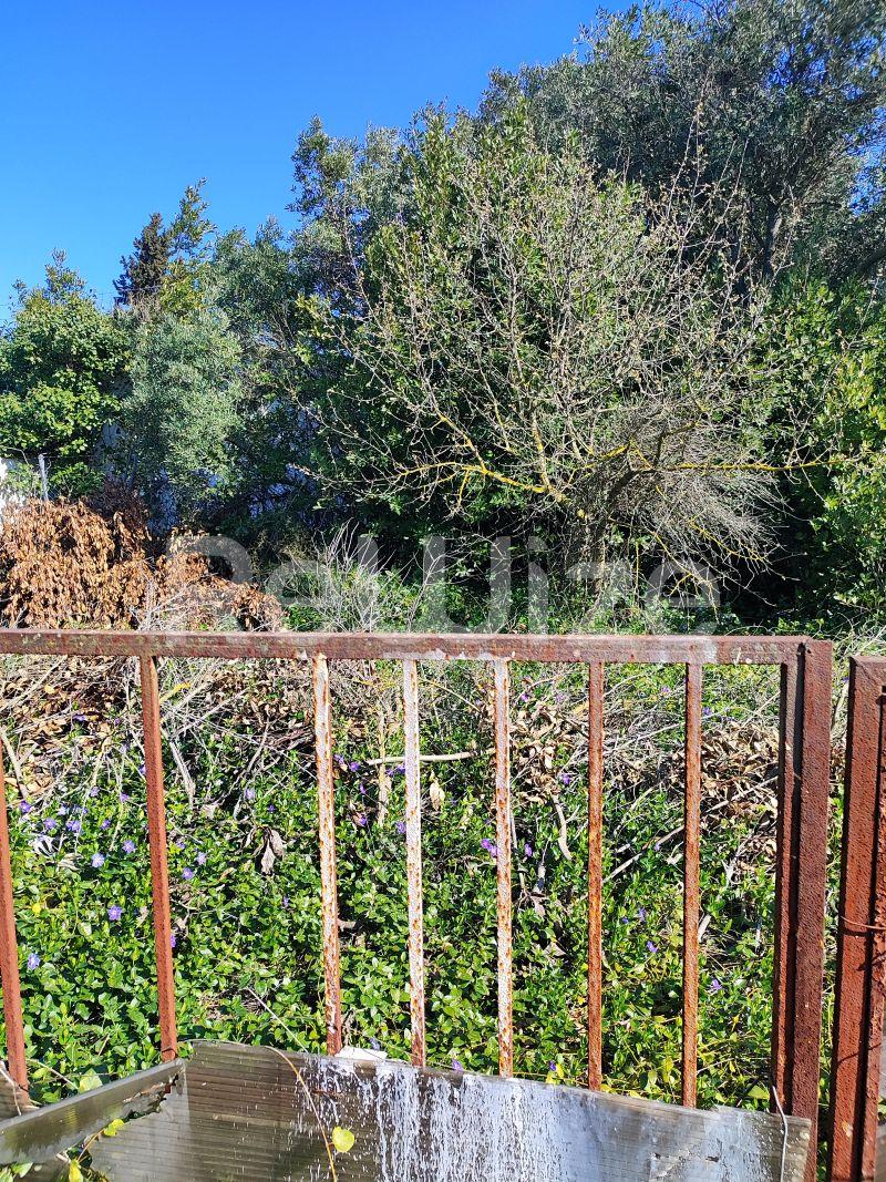 Photo 8,Outside,SALE,Land,Field,240sqm,€13,000,Nea Michaniona