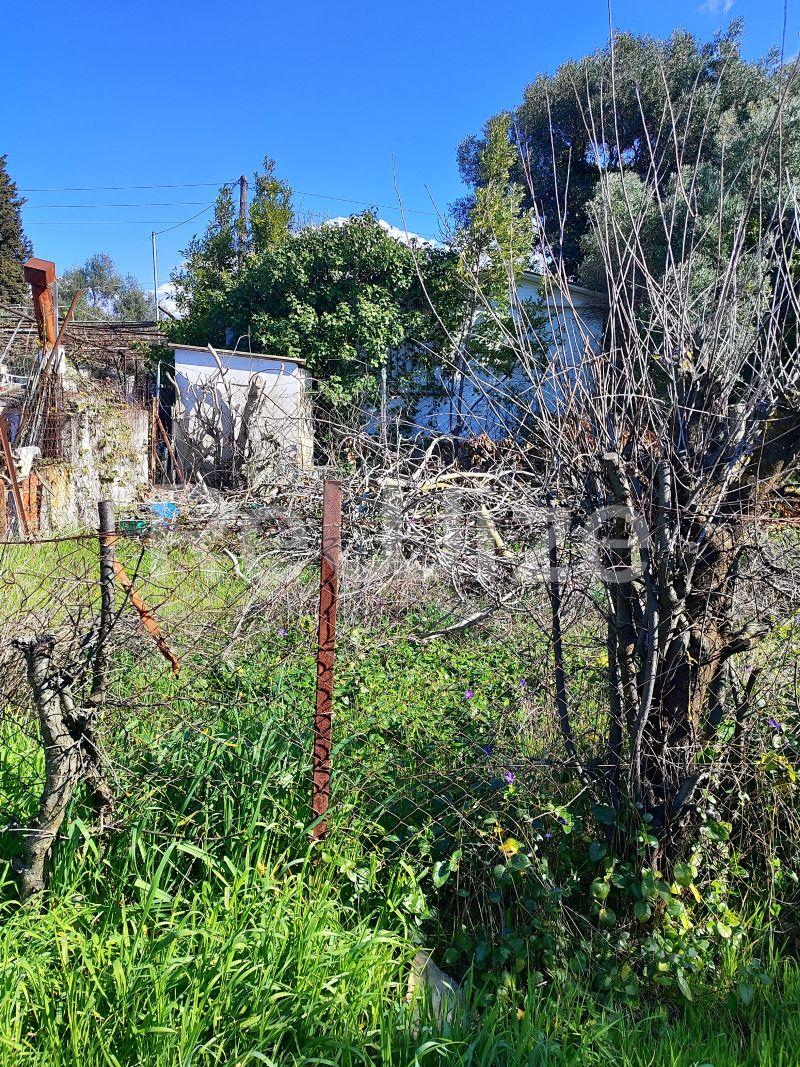 Photo 11,Outside,SALE,Land,Field,240sqm,€13,000,Nea Michaniona