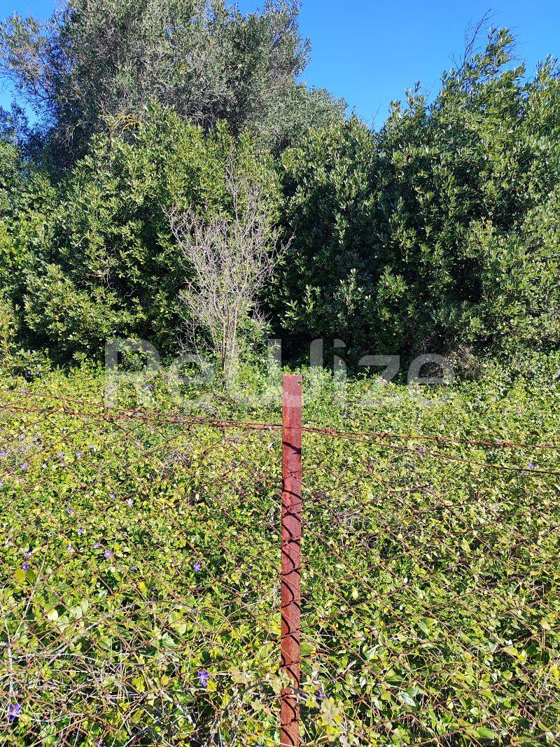 Photo 3,Outside,SALE,Land,Field,240sqm,€13,000,Nea Michaniona