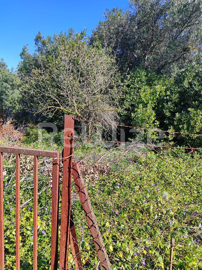 Photo 7,Outside,SALE,Land,Field,240sqm,€13,000,Nea Michaniona