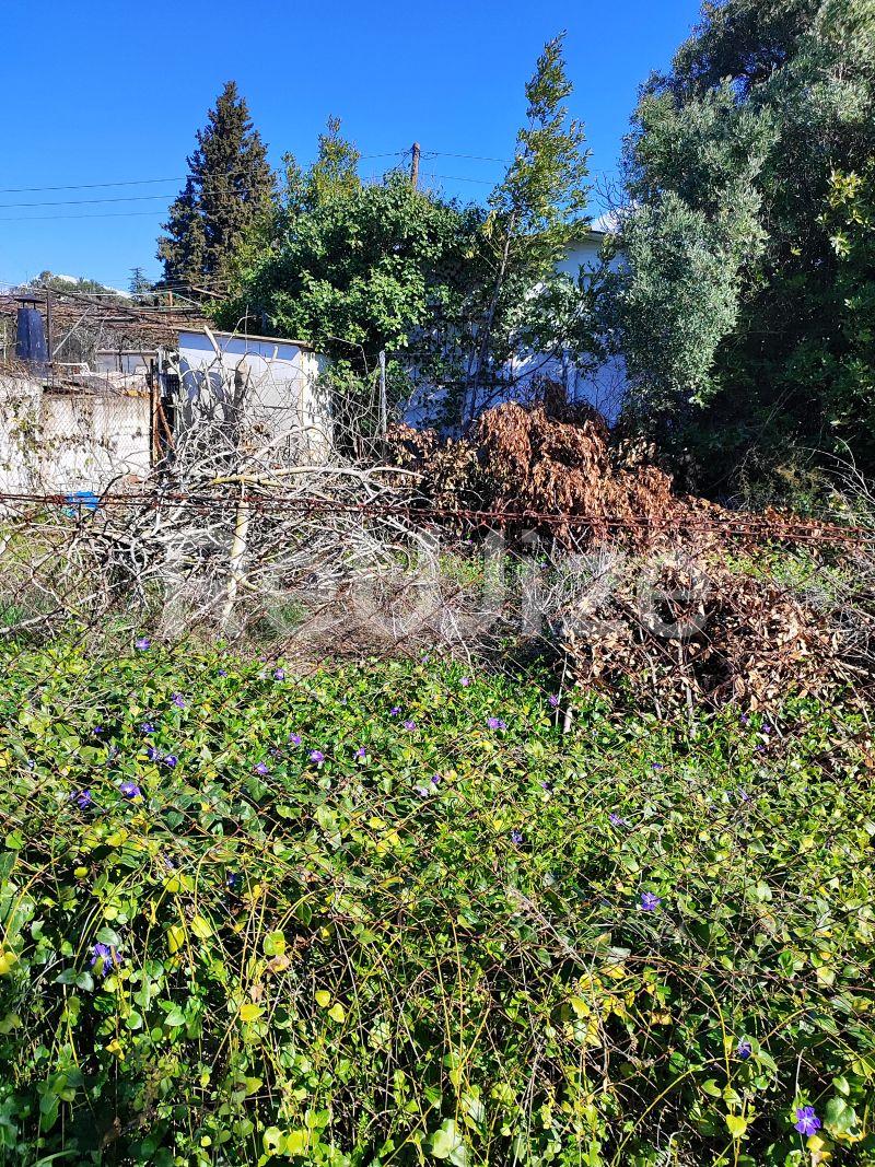 Photo 10,Outside,SALE,Land,Field,240sqm,€13,000,Nea Michaniona