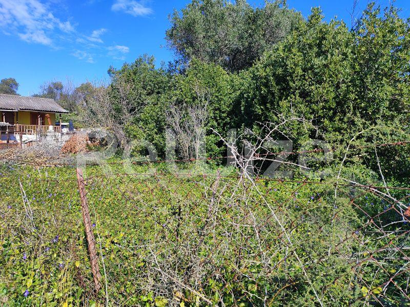 Photo 14,Outside,SALE,Land,Field,240sqm,€13,000,Nea Michaniona