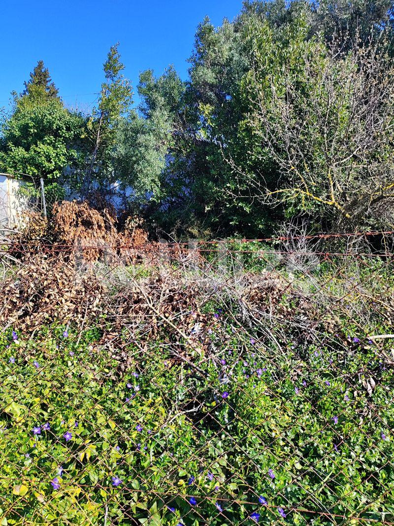 Photo 9,Outside,SALE,Land,Field,240sqm,€13,000,Nea Michaniona