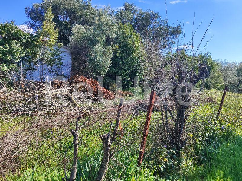 Photo 12,Outside,SALE,Land,Field,240sqm,€13,000,Nea Michaniona