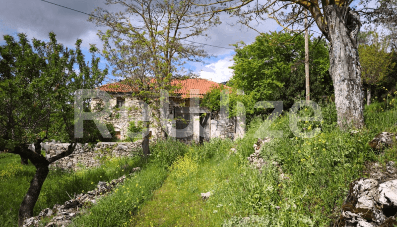 Photo 1,Garden,RENT,Residency,Detached house,275sqm,€88,000,Tegea