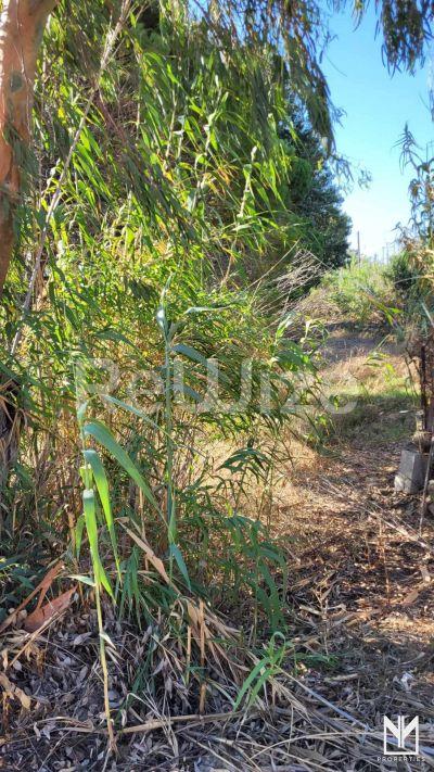 Photo 8,Πισίνα,ΠΏΛΗΣΗ,Γη,Οικόπεδο,870τ.μ,€175,000,Πάρος