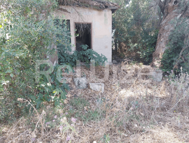 Photo 2,Κήπος,ΕΝΟΙΚΊΑΣΗ,Γη,Οικόπεδο,396τ.μ,€36,000,Ζάκυνθος