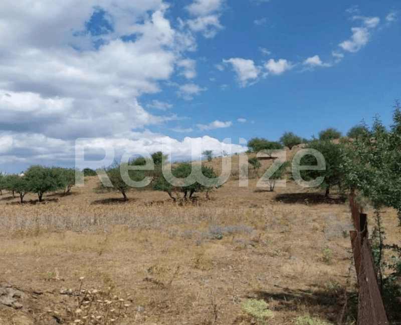 Photo 1,Outside,RENT,Land,Field,8165sqm,€128,000,Tripoli
