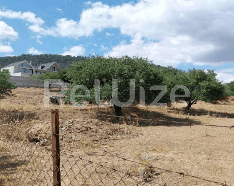 Photo 2,Open View,RENT,Land,Field,8165sqm,€128,000,Tripoli