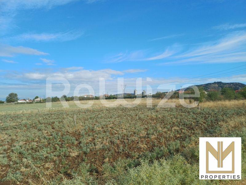Οικόπεδο 10188 τ.μ. στο Ωραιόκαστρο, φωτογραφία 12